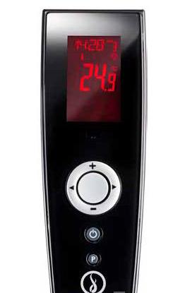 Газовый камин Schmid Lina G 100